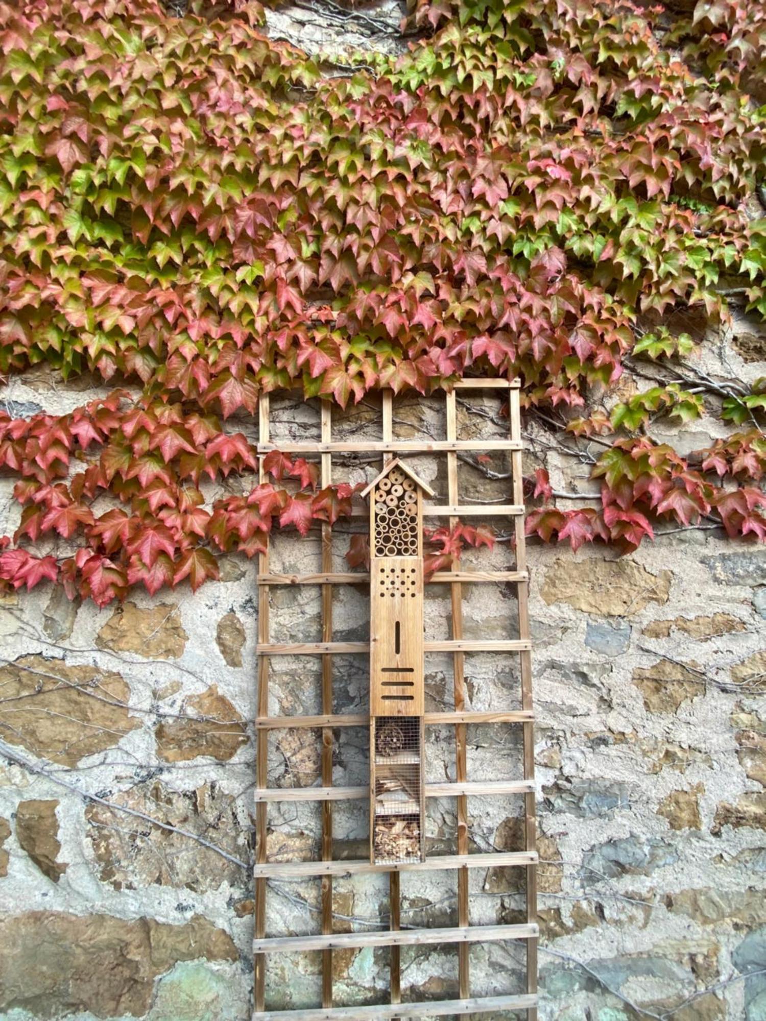 Les Caselles, Gite Et Maison D'Hotes Saint-Beauzely Buitenkant foto